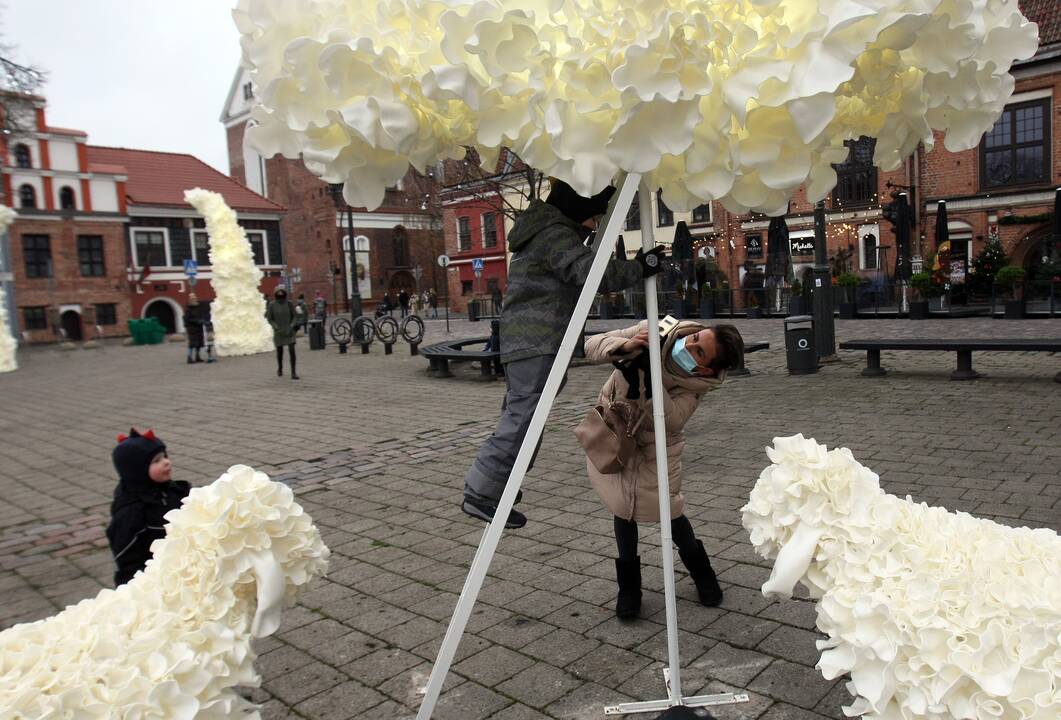 Kauno eglutė laukia įžiebimo šventės