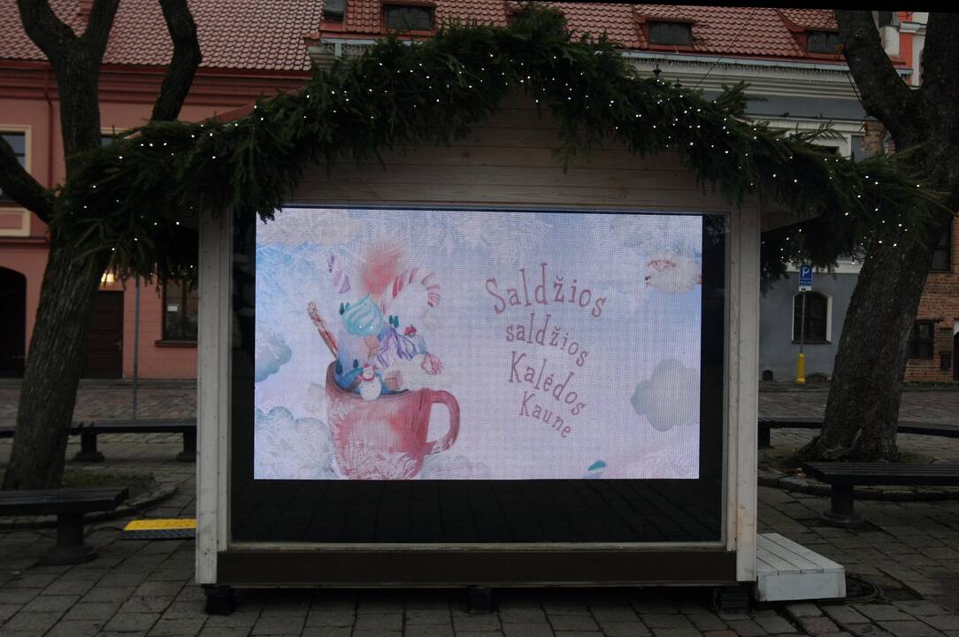 Kauno eglutė laukia įžiebimo šventės