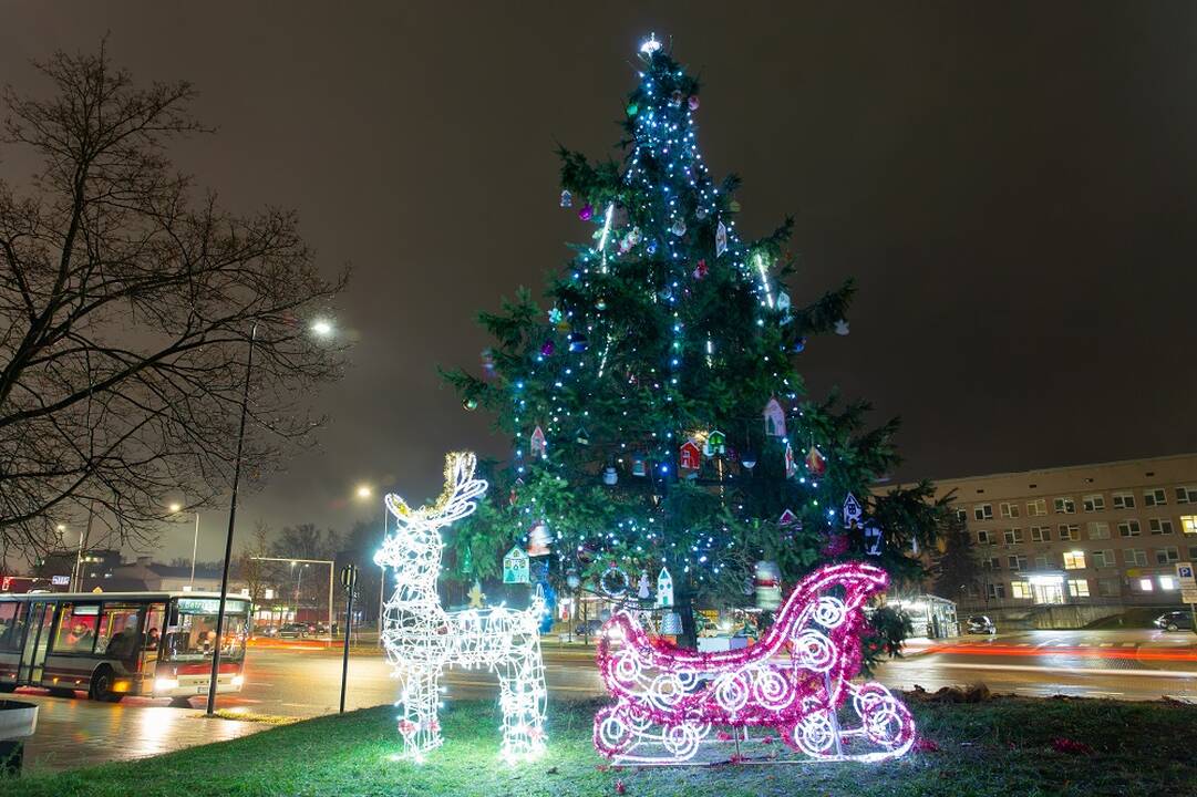 Vilniuje sužibo dešimtys Kalėdų eglučių