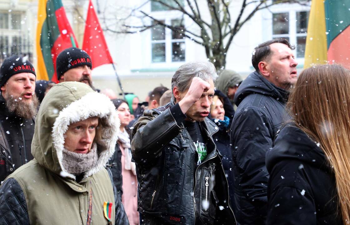 Kovo 11-osios patriotinės eitynės Vilniuje
