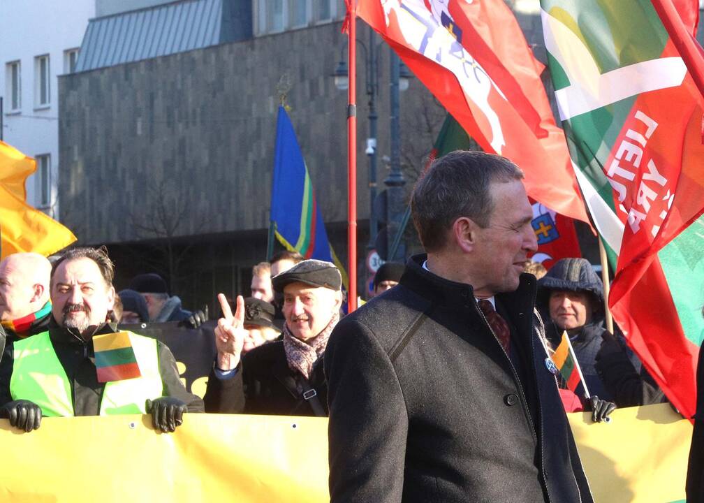Kovo 11-osios patriotinės eitynės Vilniuje