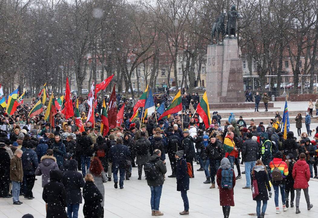 Kovo 11-osios patriotinės eitynės Vilniuje