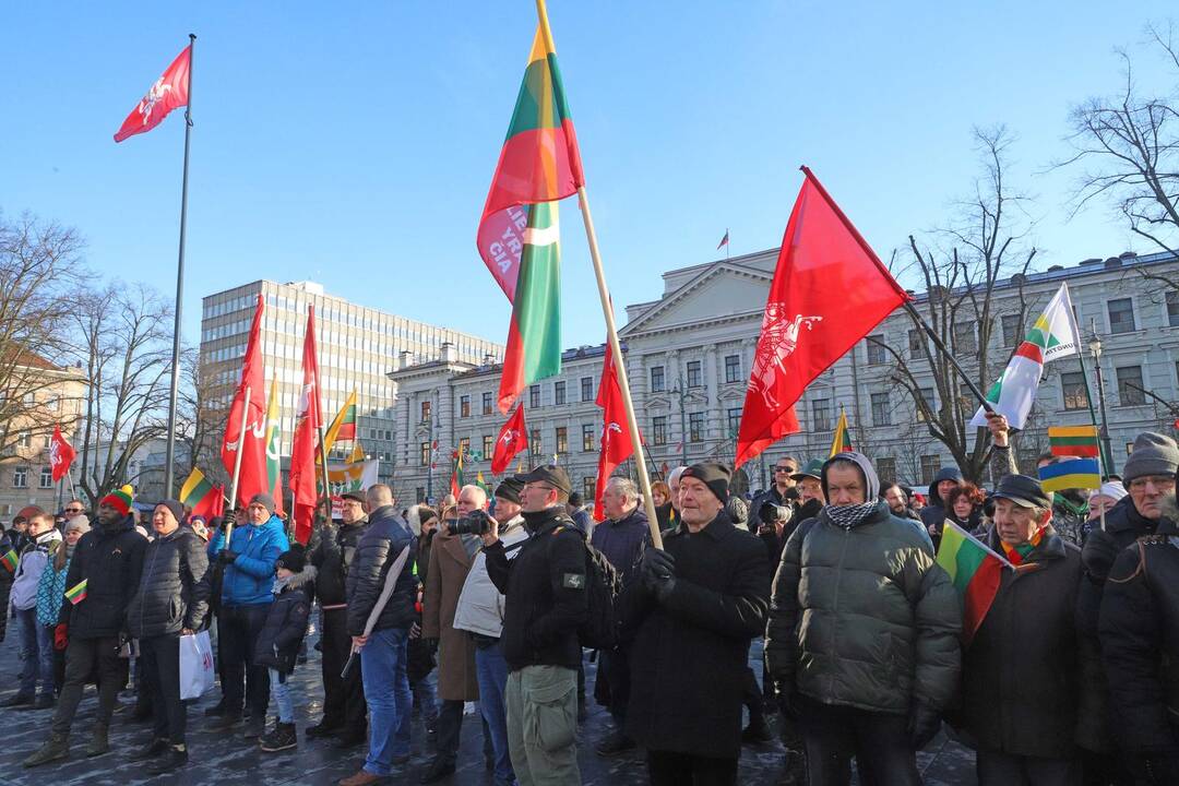 Kovo 11-osios patriotinės eitynės Vilniuje