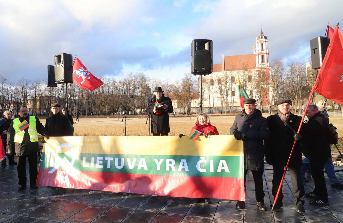 Kovo 11-osios patriotinės eitynės Vilniuje