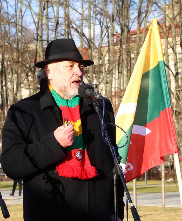Kovo 11-osios patriotinės eitynės Vilniuje