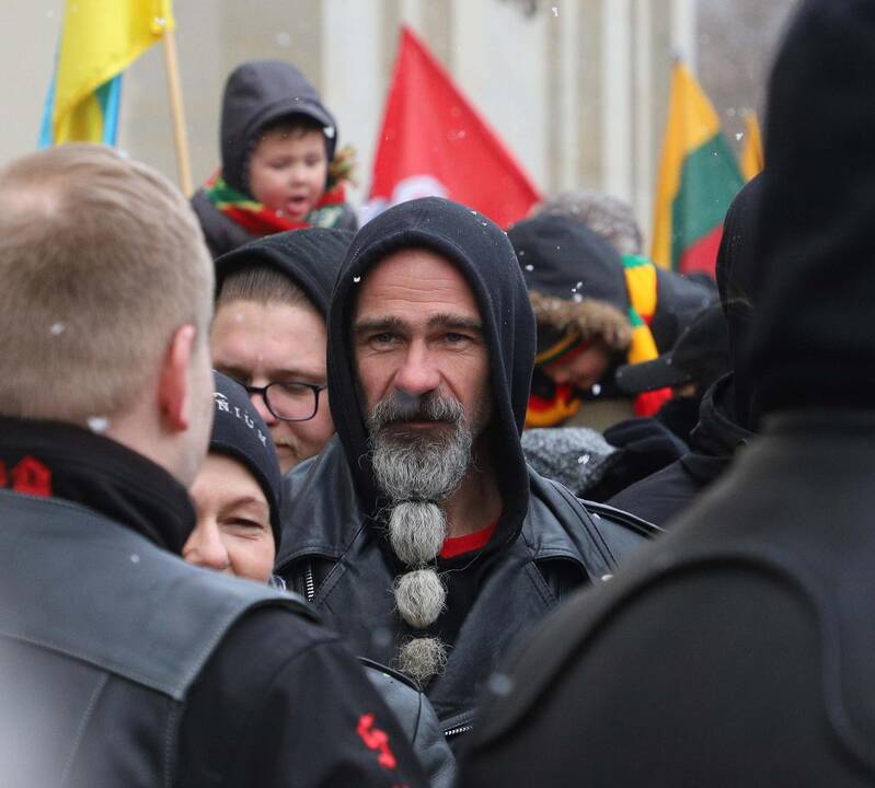 Kovo 11-osios patriotinės eitynės Vilniuje