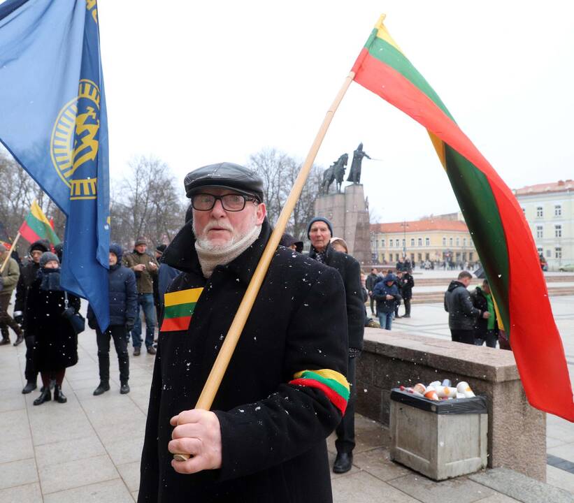 Kovo 11-osios patriotinės eitynės Vilniuje
