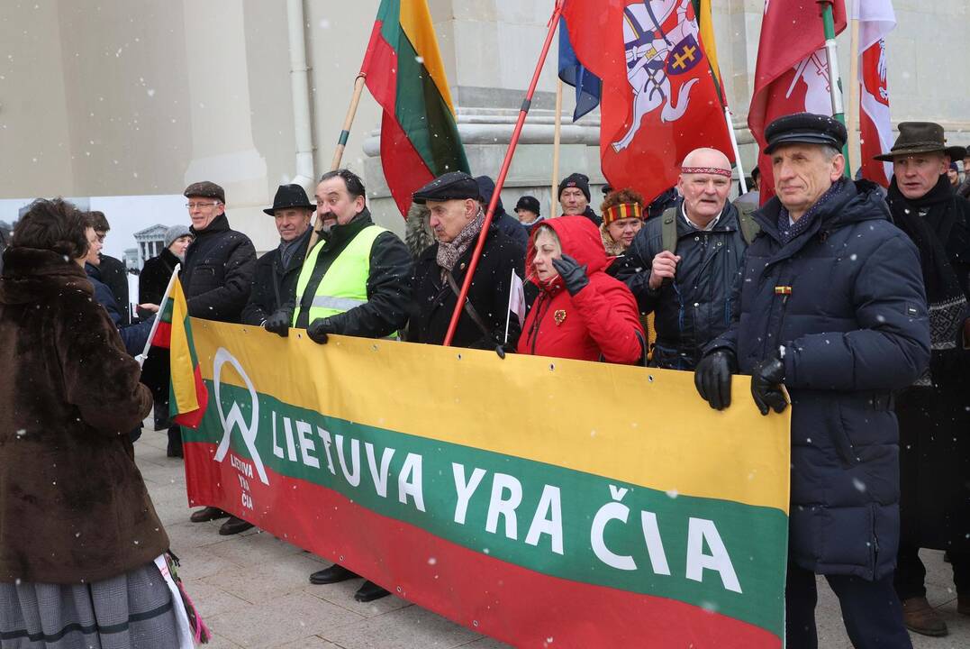 Kovo 11-osios patriotinės eitynės Vilniuje