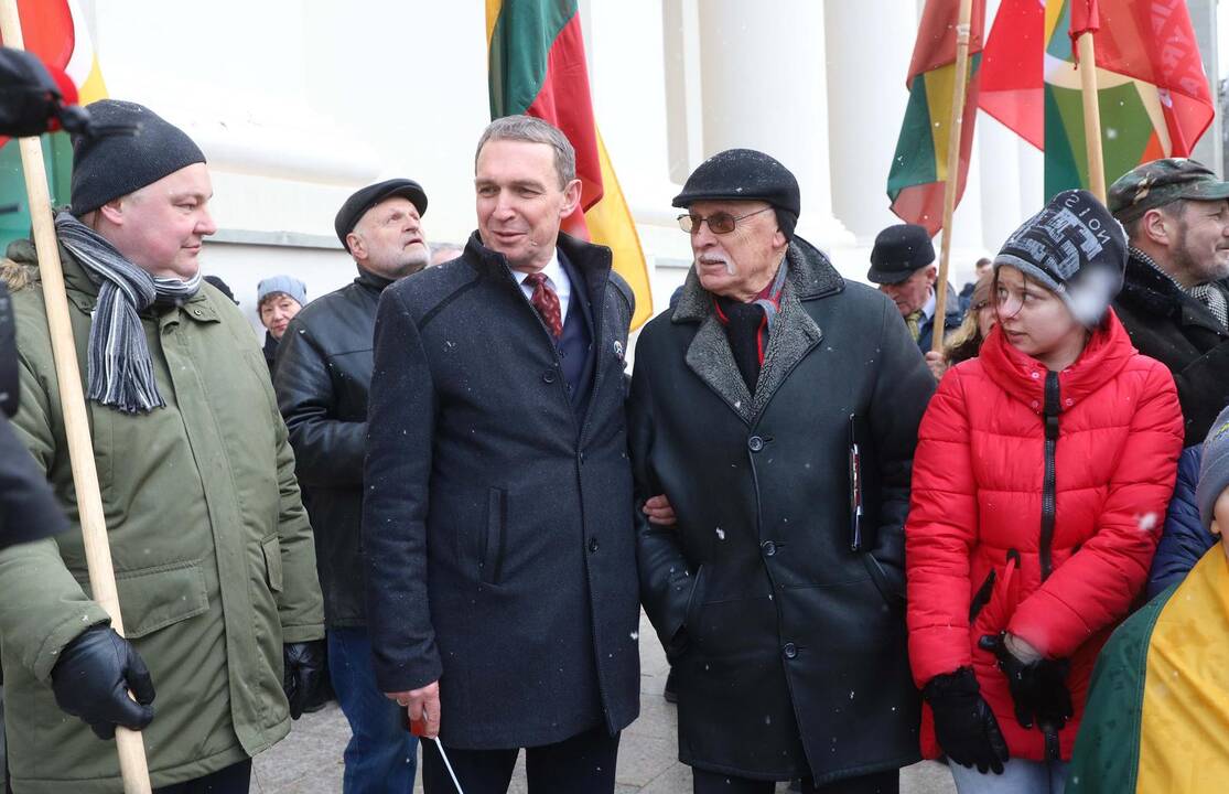 Kovo 11-osios patriotinės eitynės Vilniuje