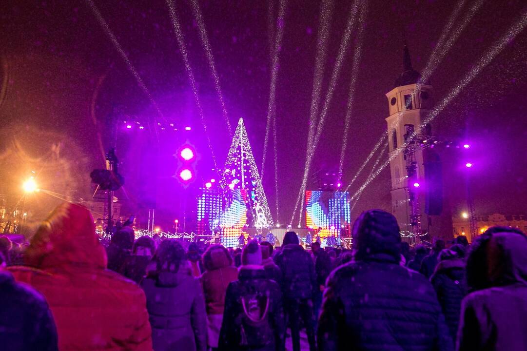 Sostinės Katedros aikštėje suspindo Kalėdų eglė