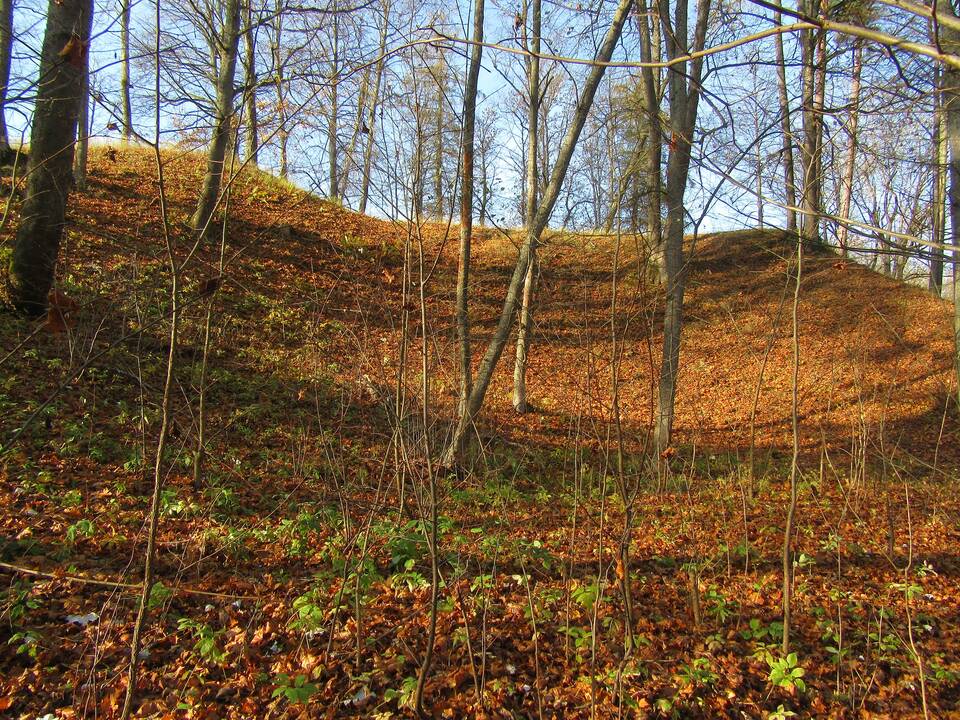 Sąrašas: Lietuvoje nebeliko piliakalnių, kurių nebūtų aplankęs L.Litvinavičius.