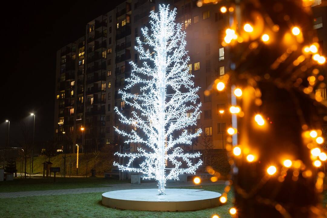 Vilniuje sužibo dešimtys Kalėdų eglučių
