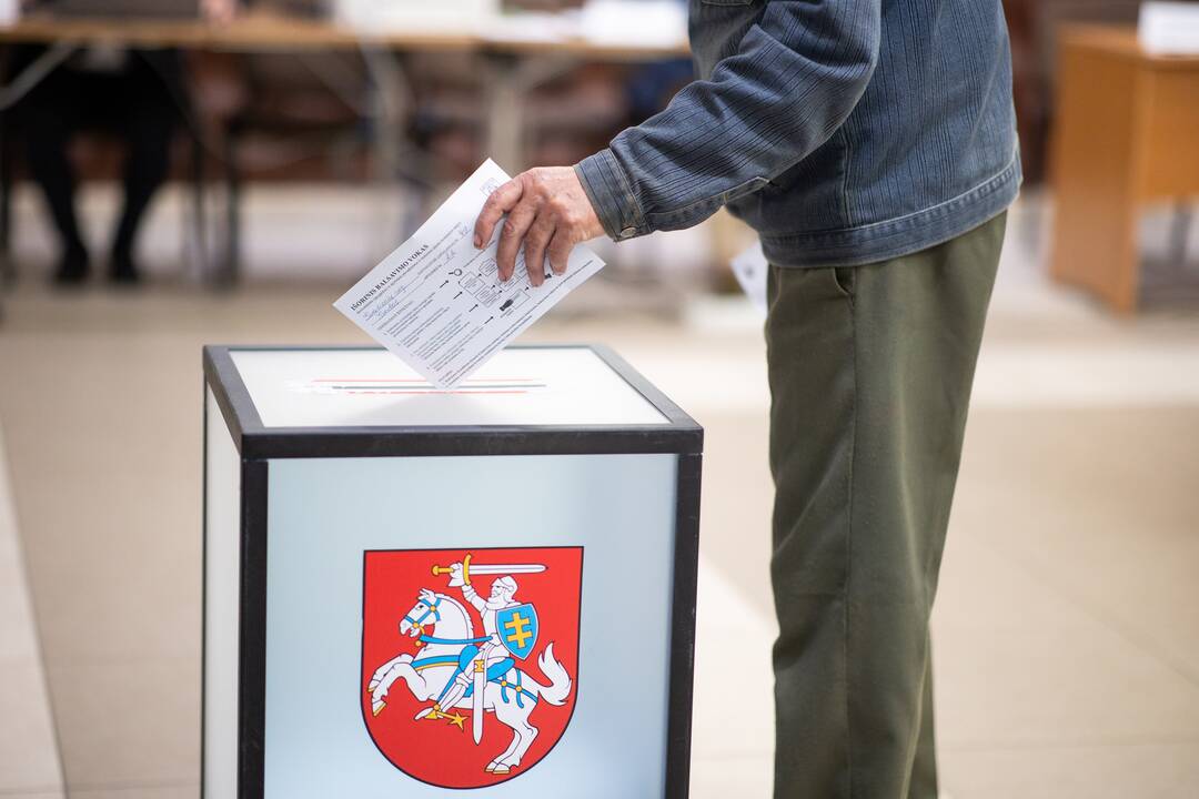 Už rinkėjų „suvedžiojimą“ siūlo bausmę