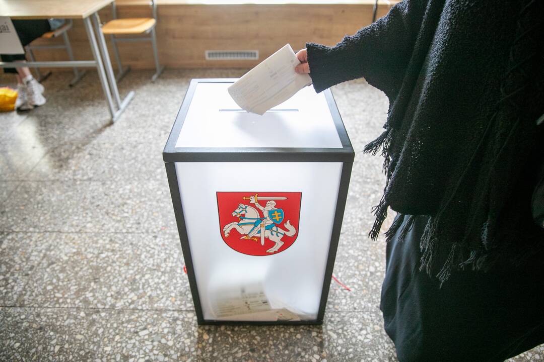 Lietuva renka narius į Europos Parlamentą