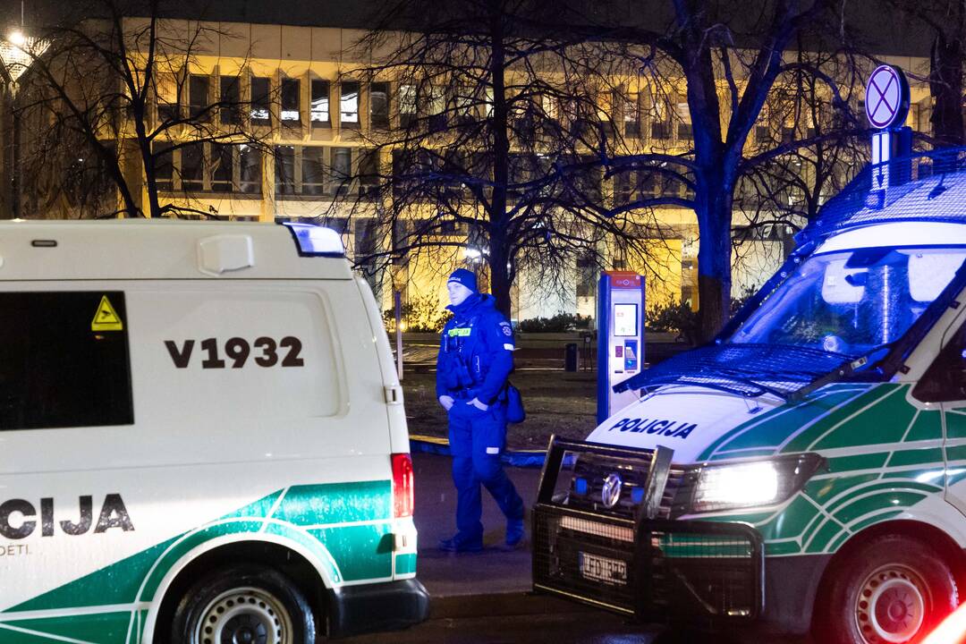 Protestas prie Seimo: „Dešimt tylos minučių“