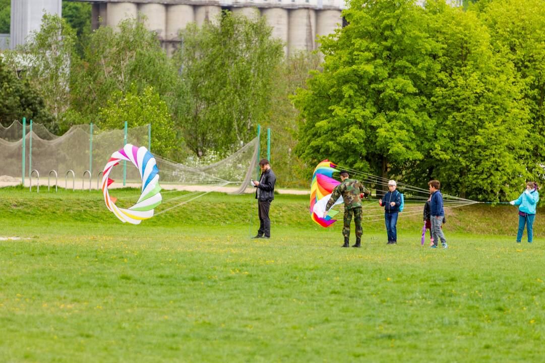 Piknikas Nemuno saloje tarp sakurų