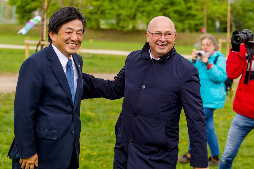Piknikas Nemuno saloje tarp sakurų