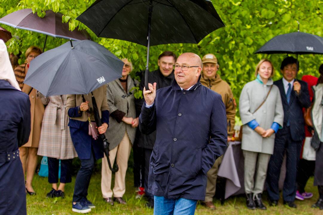 Piknikas Nemuno saloje tarp sakurų