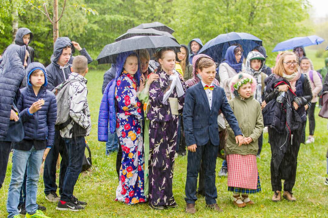 Piknikas Nemuno saloje tarp sakurų