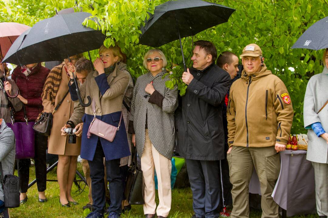 Piknikas Nemuno saloje tarp sakurų