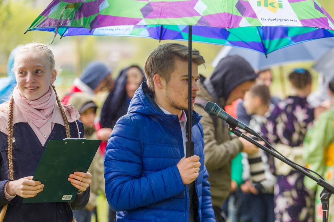 Piknikas Nemuno saloje tarp sakurų