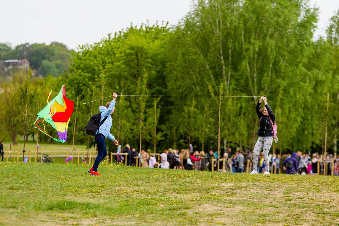 Piknikas Nemuno saloje tarp sakurų