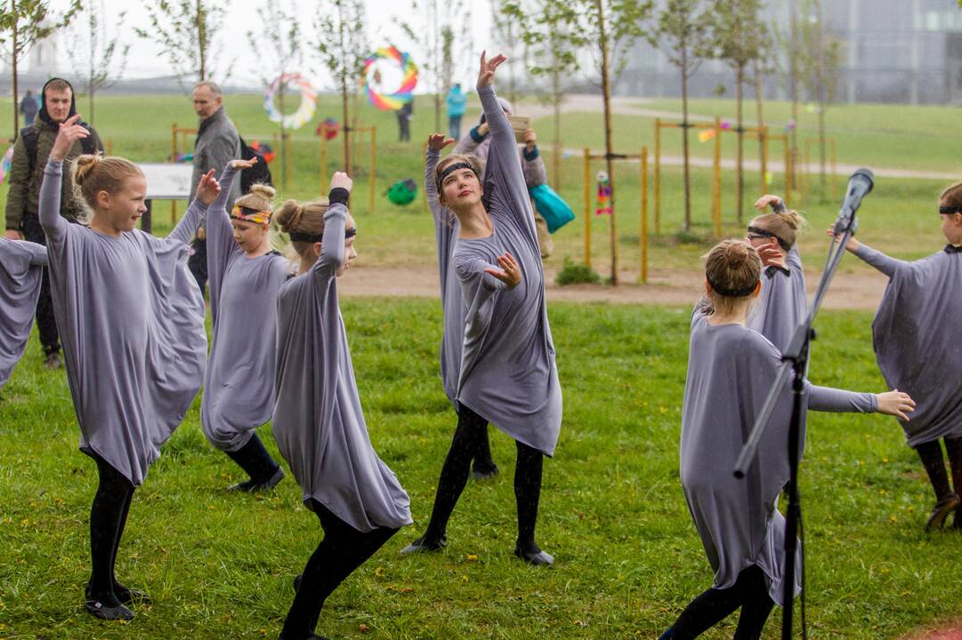 Piknikas Nemuno saloje tarp sakurų
