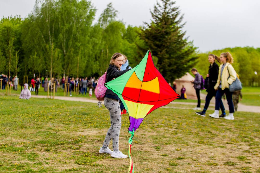 Piknikas Nemuno saloje tarp sakurų