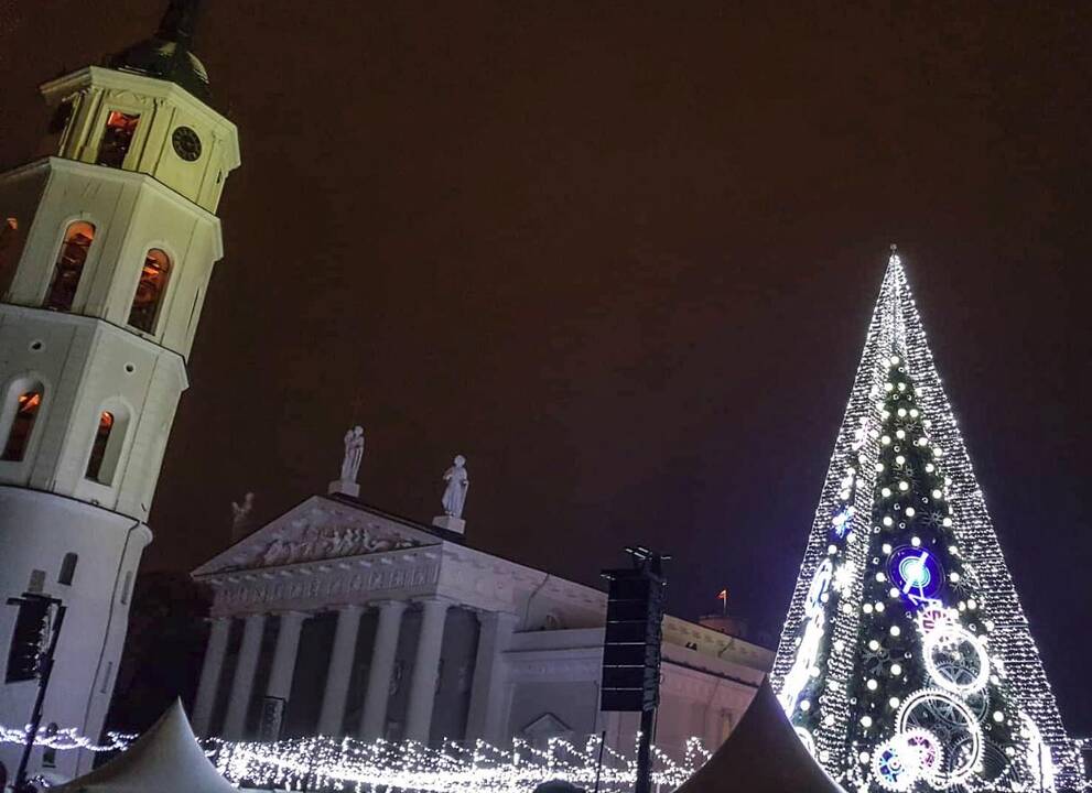 Sostinės Katedros aikštėje suspindo Kalėdų eglė