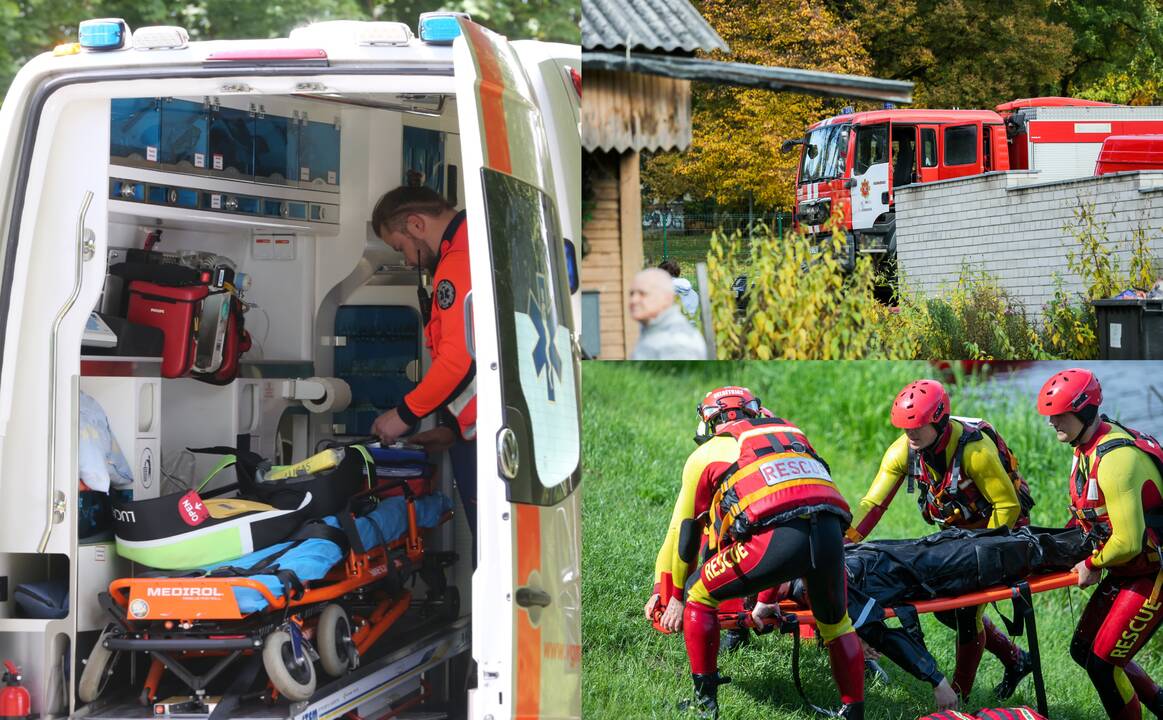 Kaimynų braškės vos nekainavo senjorei gyvybės