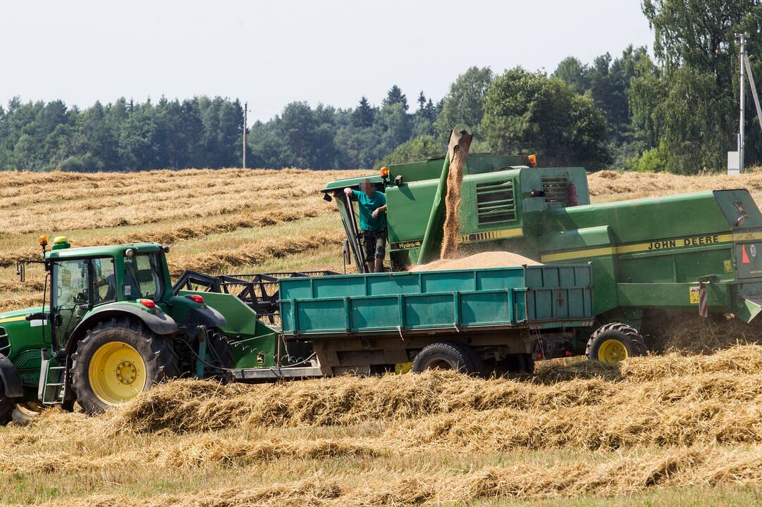 Kėdainiškė sukčiams atidavė ne pinigus, o 42 tonas kviečių