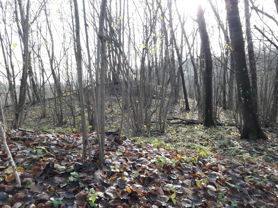 Sąrašas: Lietuvoje nebeliko piliakalnių, kurių nebūtų aplankęs L.Litvinavičius.