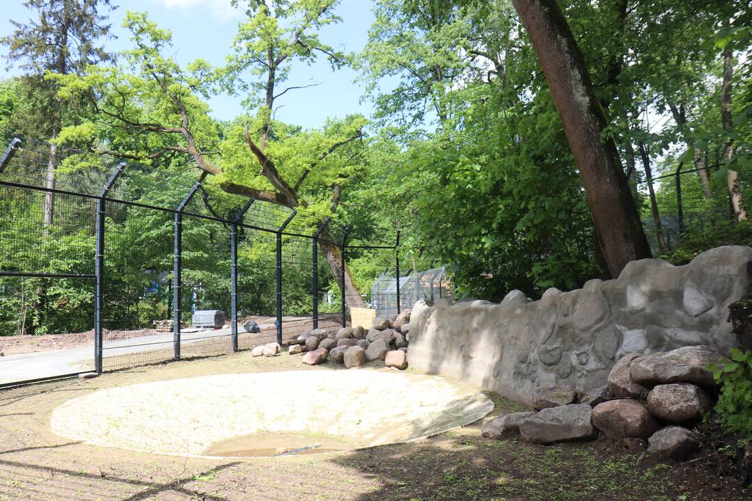 Zoologijos sodo renovacijos užkulisiai