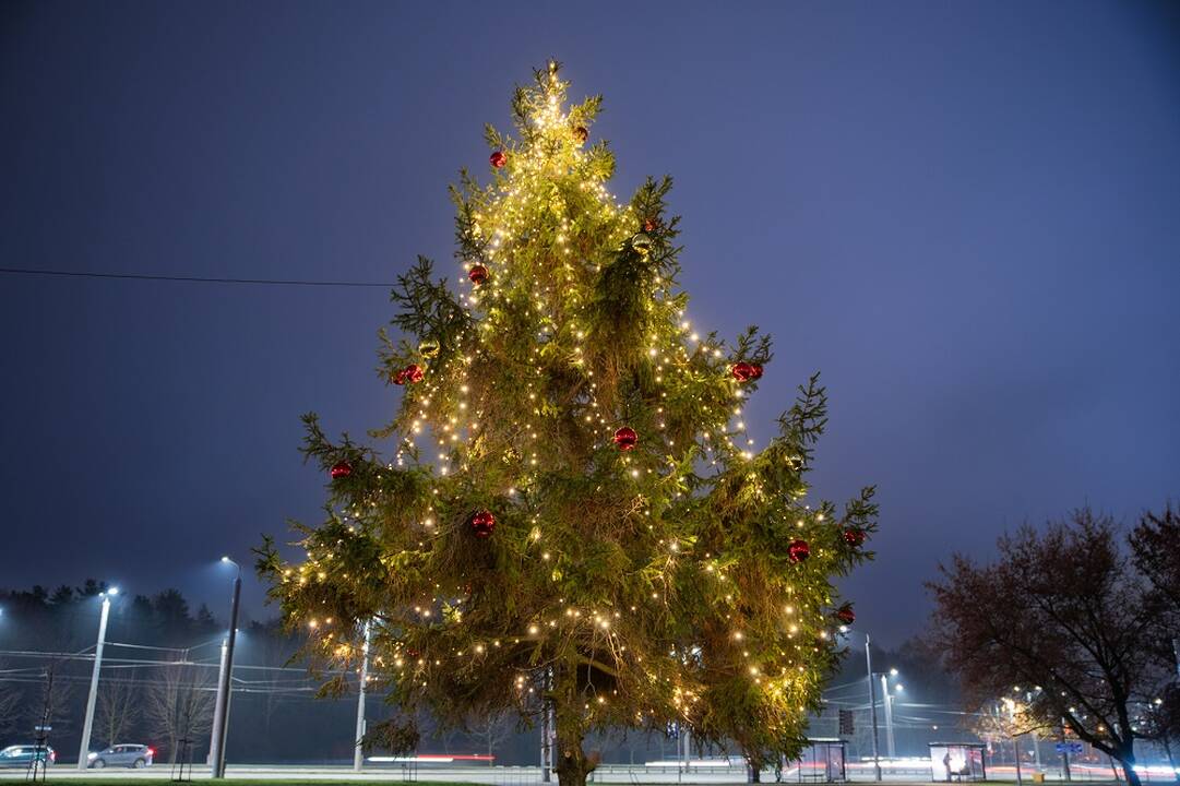Vilniuje sužibo dešimtys Kalėdų eglučių