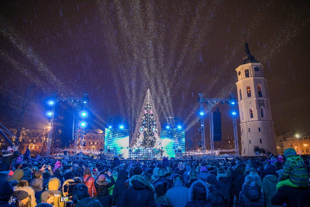 Sostinės Katedros aikštėje suspindo Kalėdų eglė