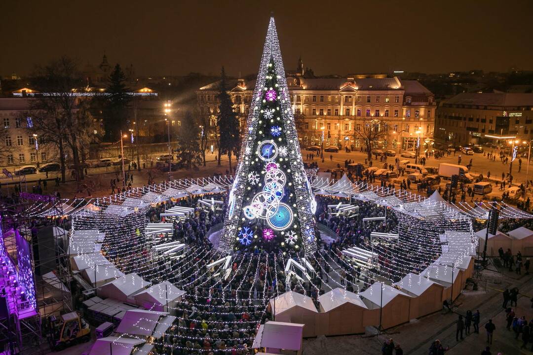 Sostinės Katedros aikštėje suspindo Kalėdų eglė