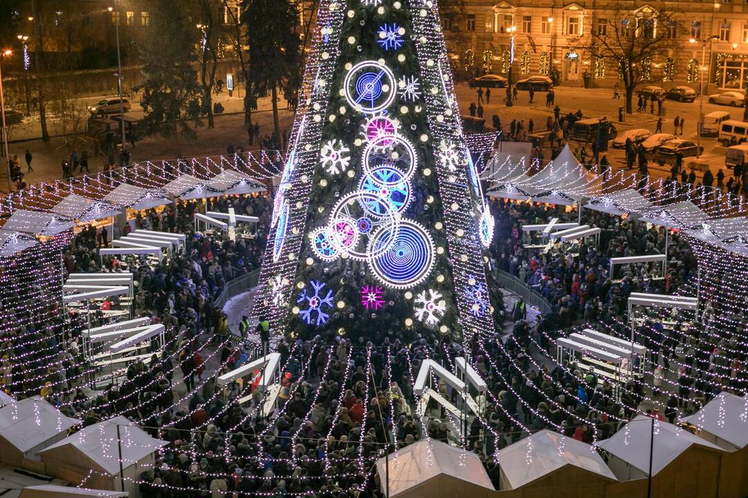 Sostinės Katedros aikštėje suspindo Kalėdų eglė