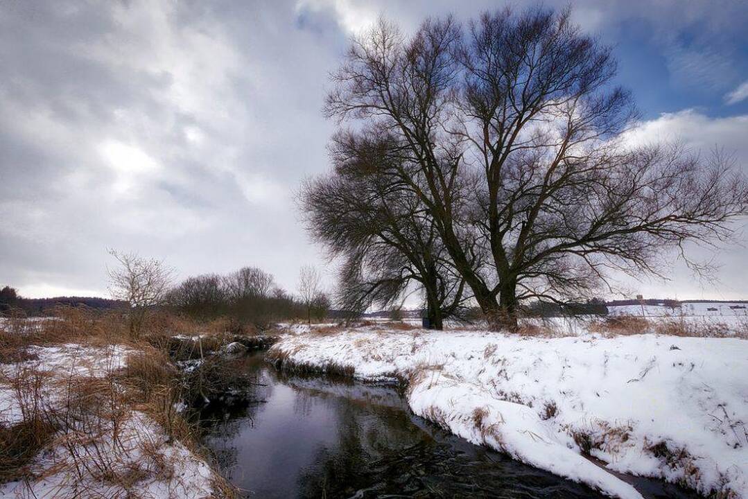 Molėtų rajono ežere rastas nuskendęs jaunas vyras