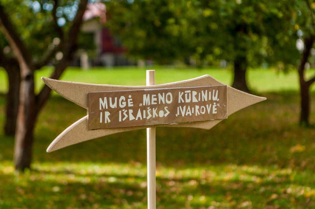"Meno piknikas" ant Pelėdų kalno