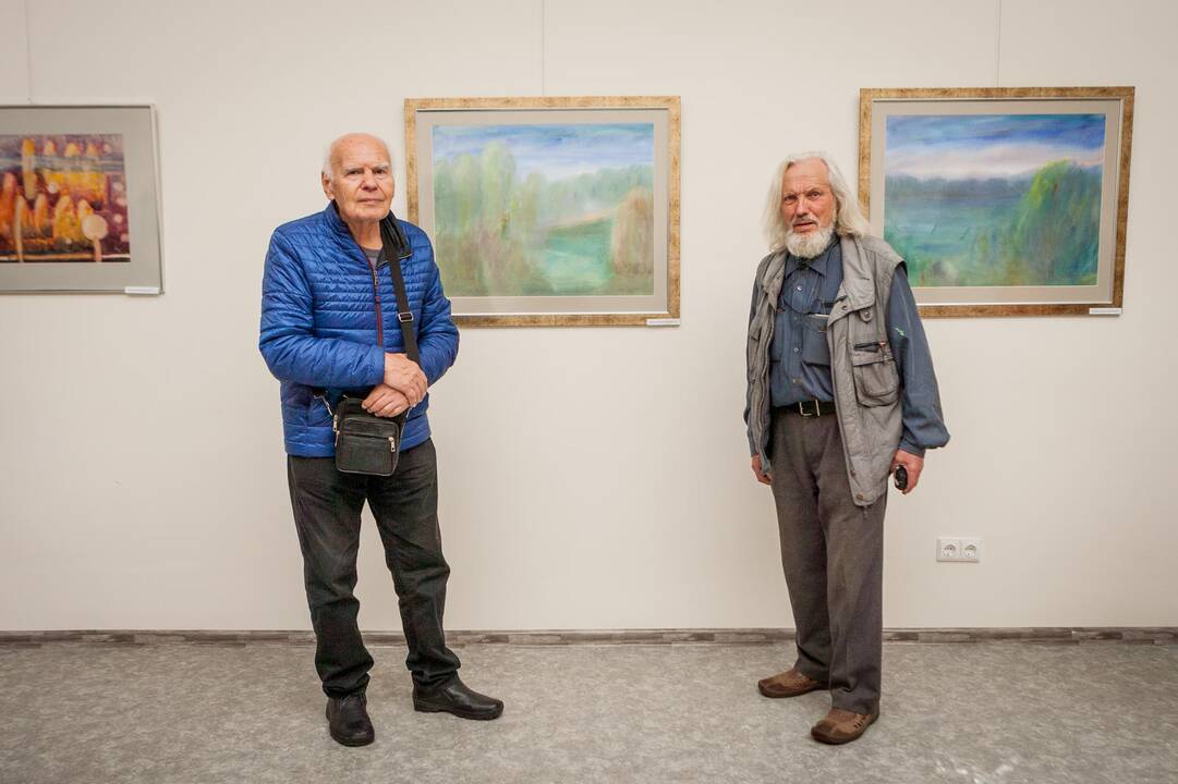 "Meno piknikas" ant Pelėdų kalno