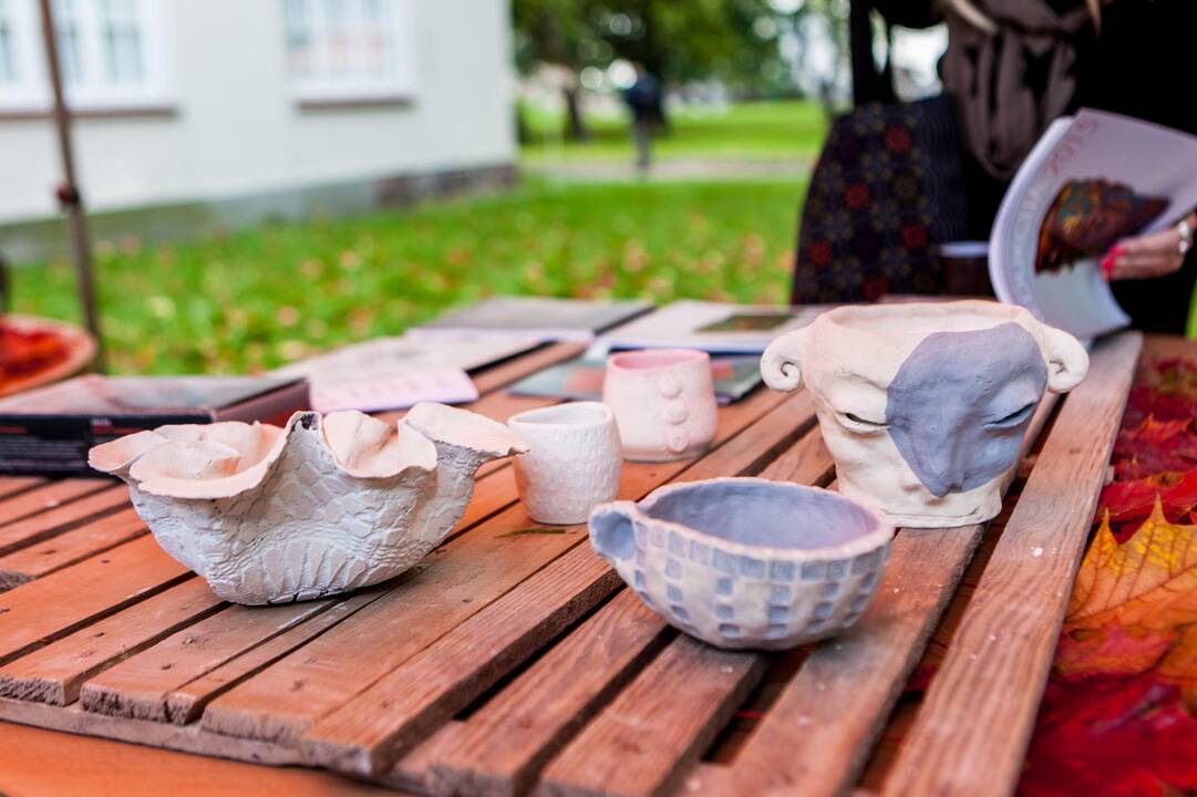"Meno piknikas" ant Pelėdų kalno