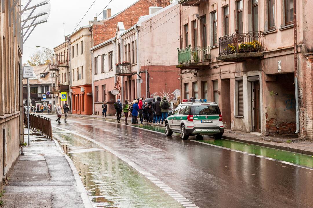 Piketas Kaune dėl atimtų vaikų
