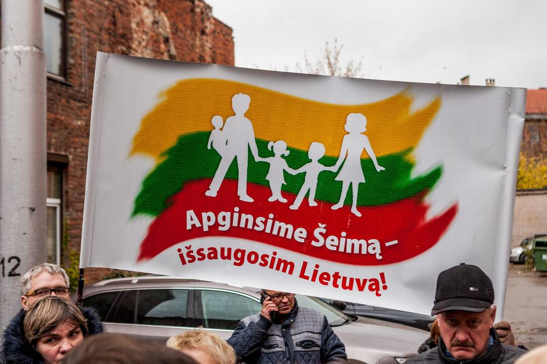 Piketas Kaune dėl atimtų vaikų