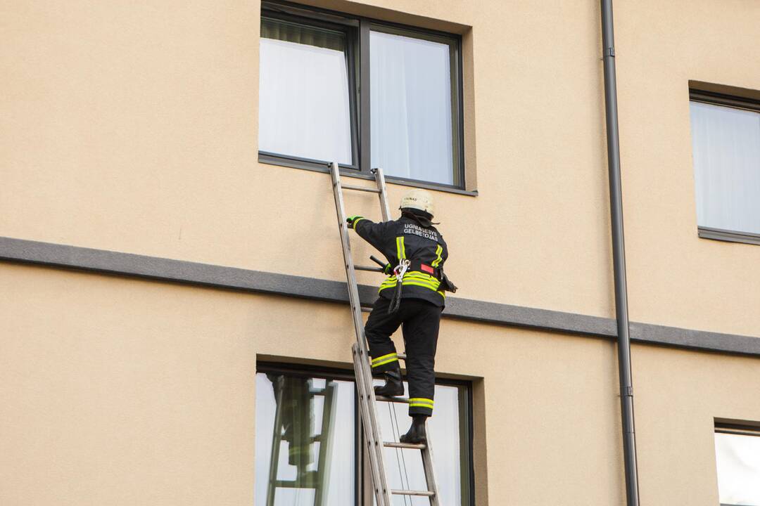 Asilo sulaikymas Žemaičių gatvėje