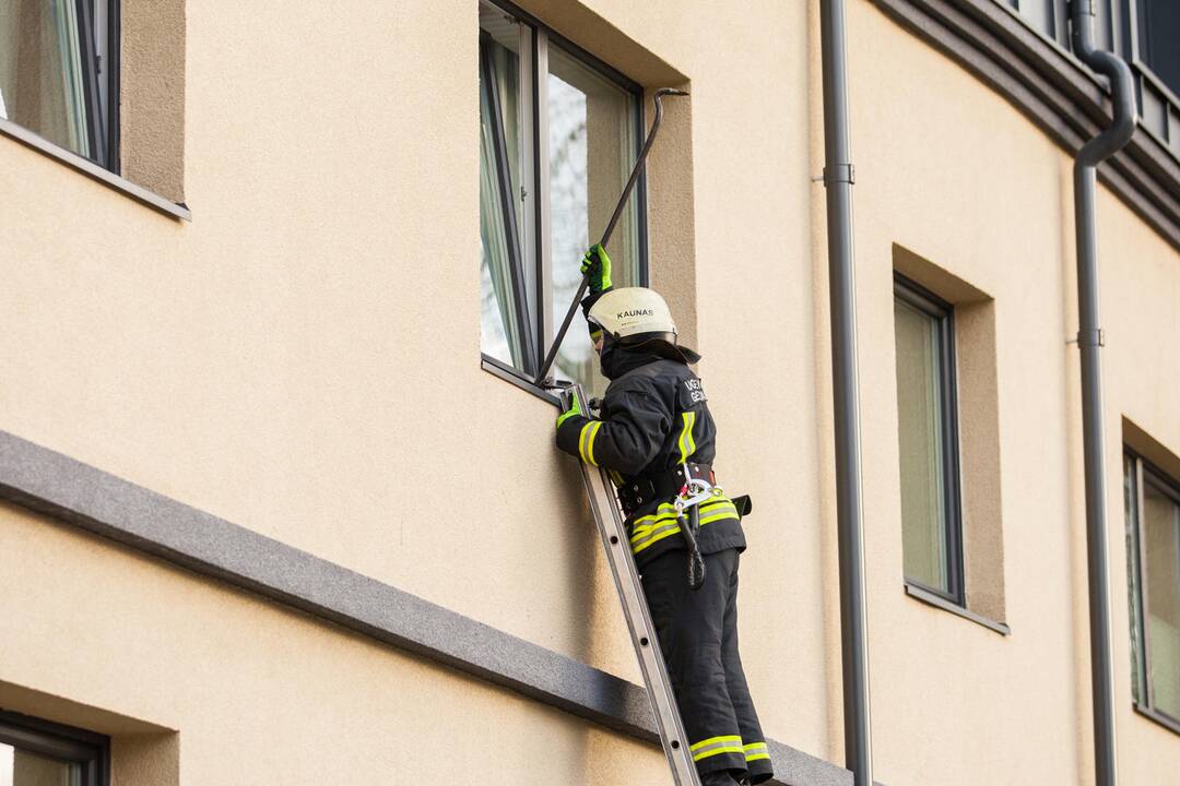 Asilo sulaikymas Žemaičių gatvėje