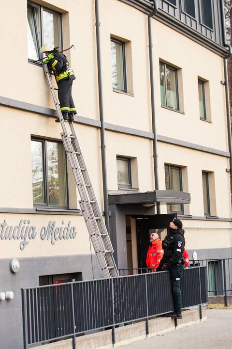 Asilo sulaikymas Žemaičių gatvėje