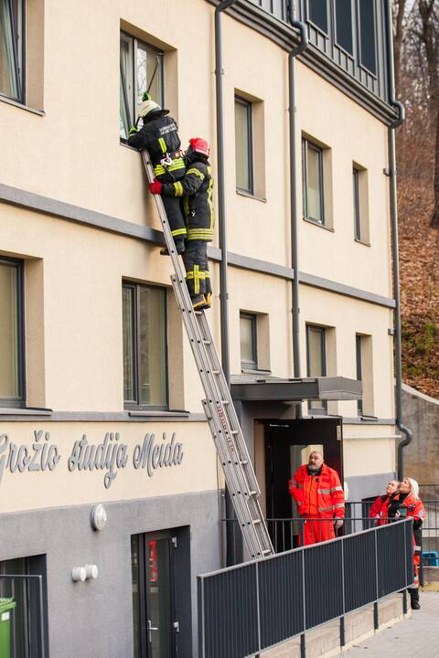 Asilo sulaikymas Žemaičių gatvėje