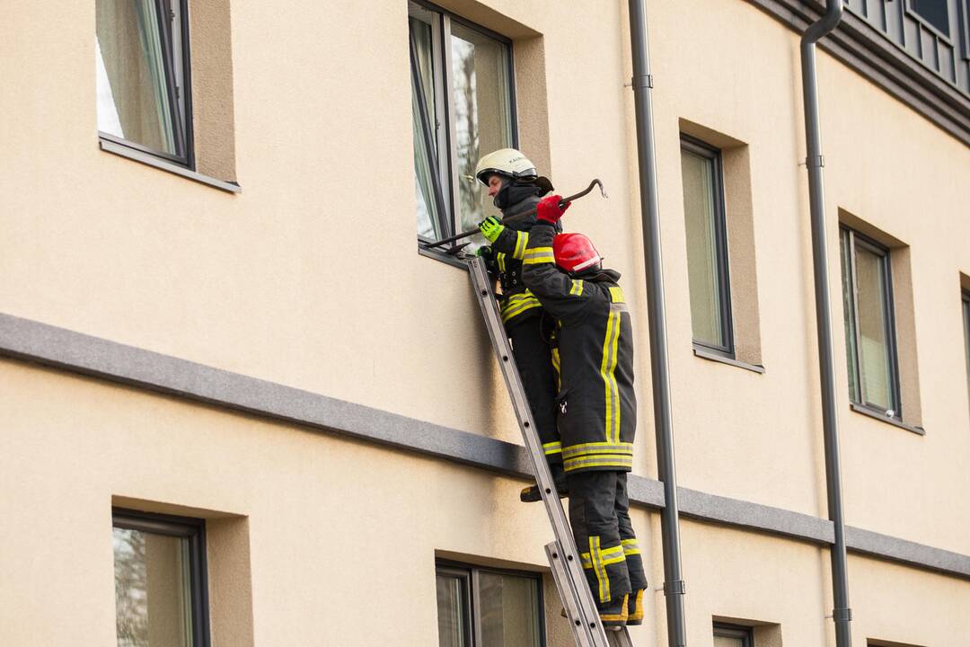 Asilo sulaikymas Žemaičių gatvėje