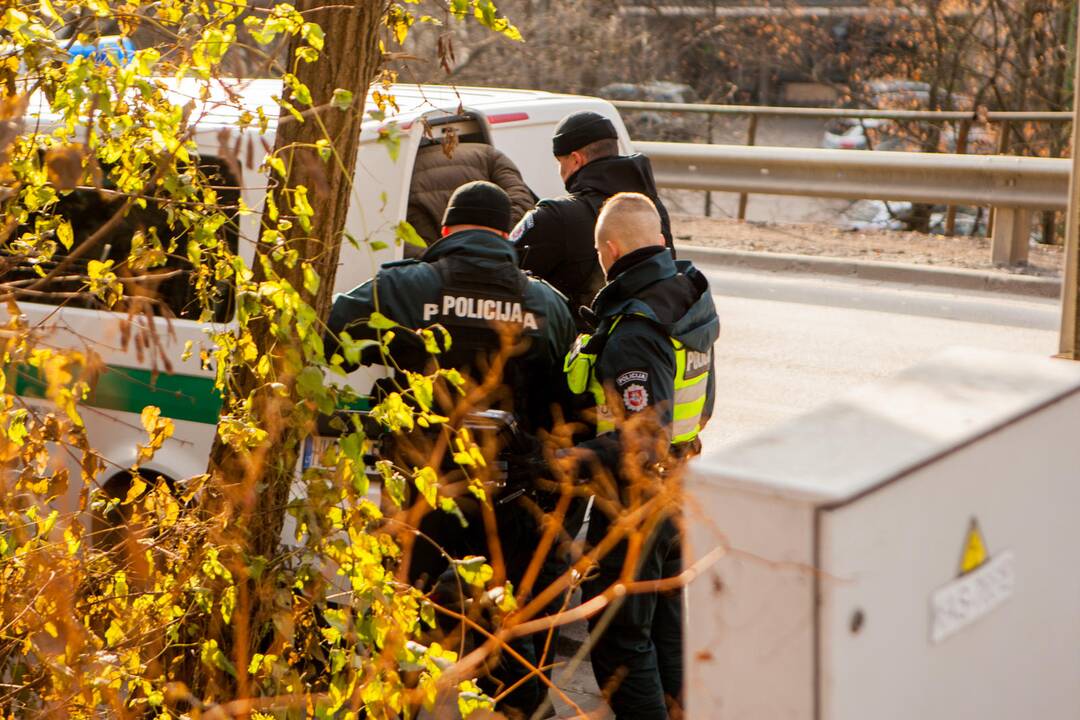Asilo sulaikymas Žemaičių gatvėje