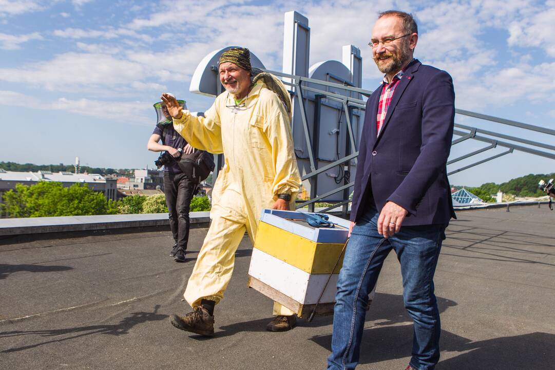 Ant verslo centro stogo apsigyveno bitės